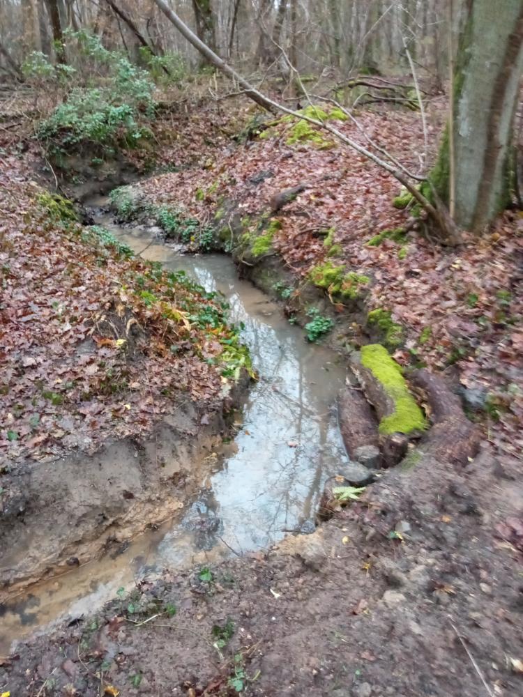 Enpêcher le ruisseau de reprendre son parcours initial 1707380870323